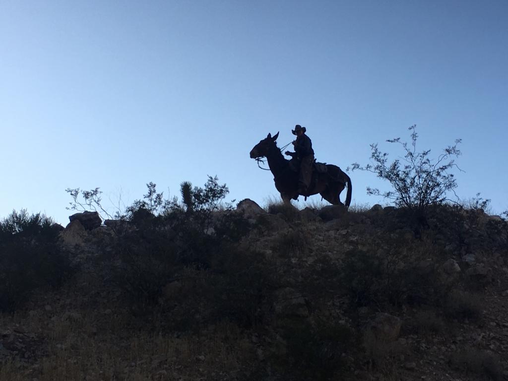 Cowboy im Red Rock Canyon